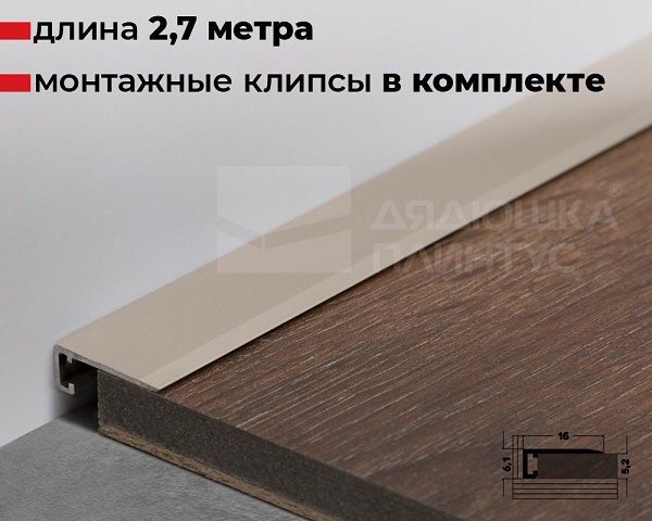 Антиплинтус алюминиевый Апл 01.2700 042л, 01л Шампань