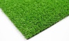 Искусственная трава Гринлэнд высота ворса 6,5мм, ширина  2м