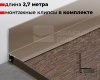 Антиплинтус алюминиевый Апл 02.2700 042л, 042л Шампань